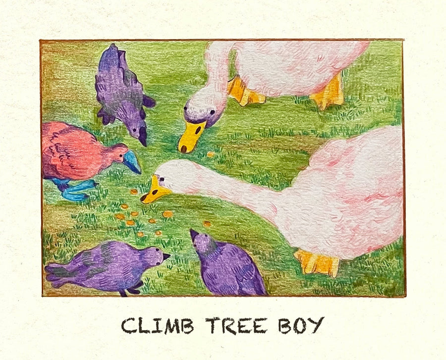 Climb Tree Boy